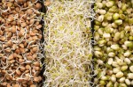 What is a Macrobiotic Diet and Its Benefits?