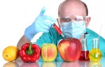 Are GMOs Safe?